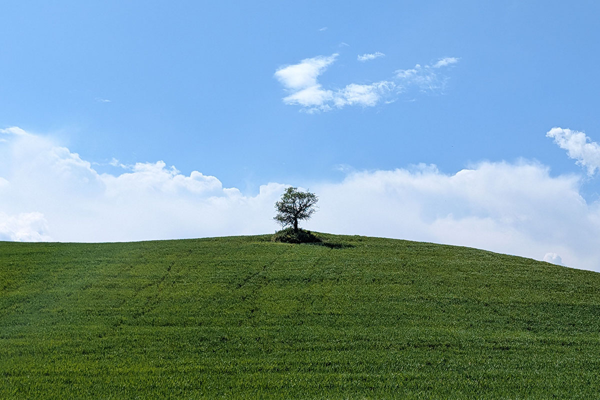 Monitoraggio ambientale.jpg Monitoraggio ambientale
