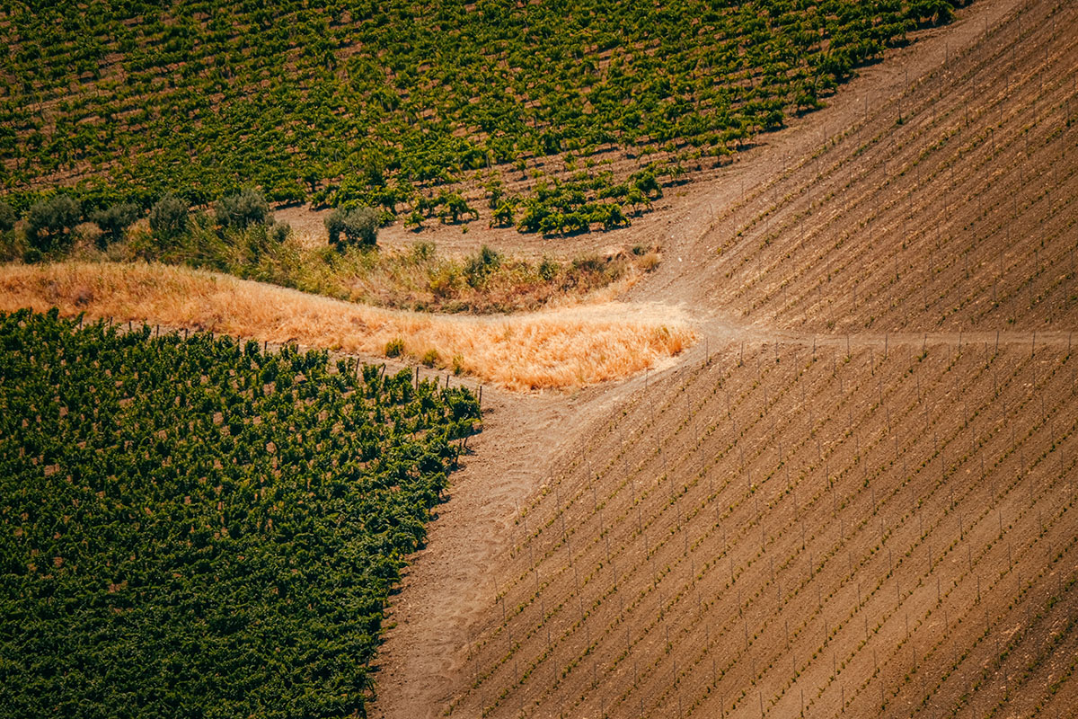 Analisi terreno agricolo a Napoli Analisi terreno agricolo